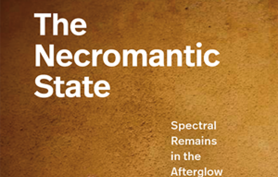 Book Cover "The Necromantic State"